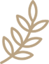 Leaf Icon