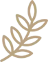 icon-leaf